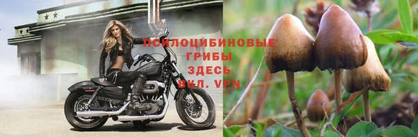 ПСИЛОЦИБИНОВЫЕ ГРИБЫ Вяземский