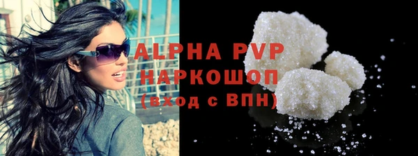 стафф Вязьма