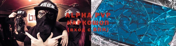 стафф Вязьма