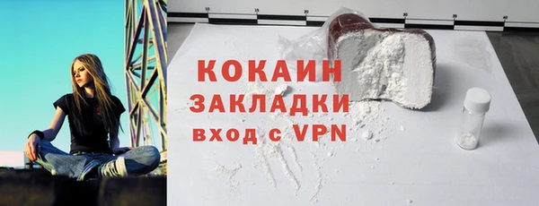 ПСИЛОЦИБИНОВЫЕ ГРИБЫ Вяземский
