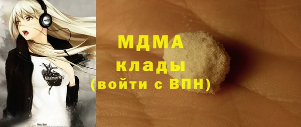 ПСИЛОЦИБИНОВЫЕ ГРИБЫ Вяземский