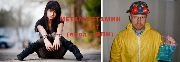 ПСИЛОЦИБИНОВЫЕ ГРИБЫ Вяземский