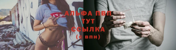 ПСИЛОЦИБИНОВЫЕ ГРИБЫ Вяземский