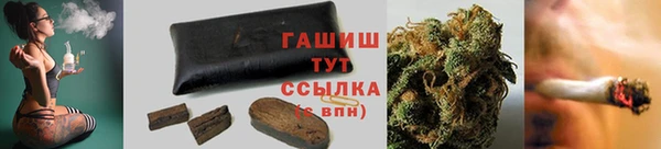 ПСИЛОЦИБИНОВЫЕ ГРИБЫ Вяземский