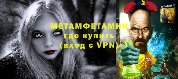 ПСИЛОЦИБИНОВЫЕ ГРИБЫ Вяземский