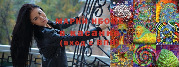 стафф Вязьма