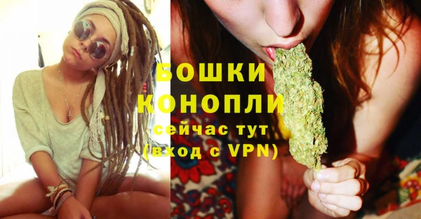стафф Вязьма