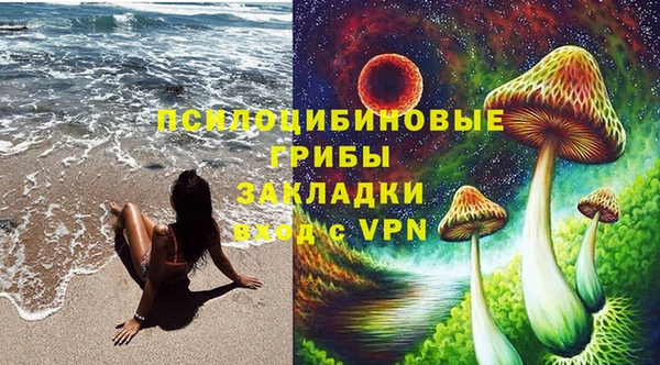стафф Вязьма